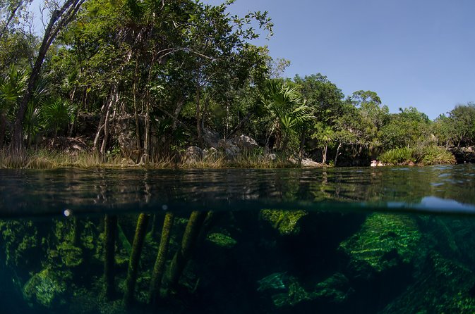 Cenote Snorkeling Small-Group Excursion With Lunch  - Playa Del Carmen - Cancellation Policy and Weather Concerns