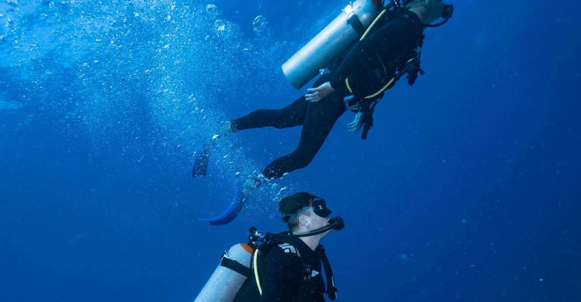 Chania:Try Scuba Diving 2shore Dives(Receive Certification) - Itinerary and Highlights