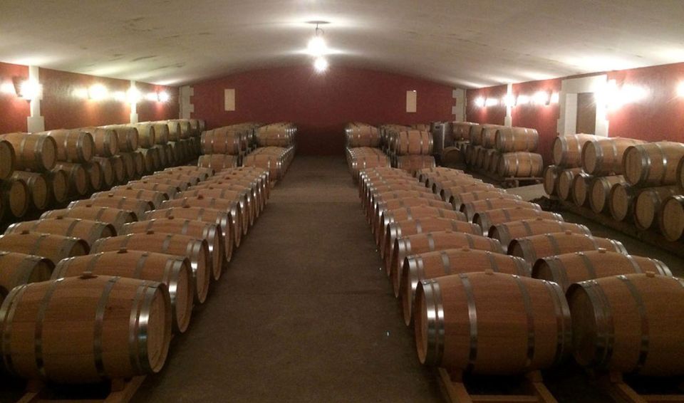 Château Lacour Jacquet Winery Visit and Tasting - Tour Highlights