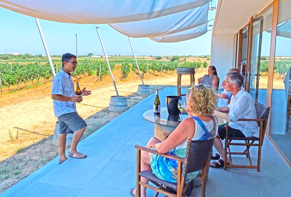 Ciutadella De Menorca: Family Winery Tour With Wine Tasting - Experience Description