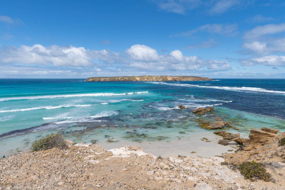 Coffin Bay National Park: Highlights and Off-Road 4WD Tour - Tour Features