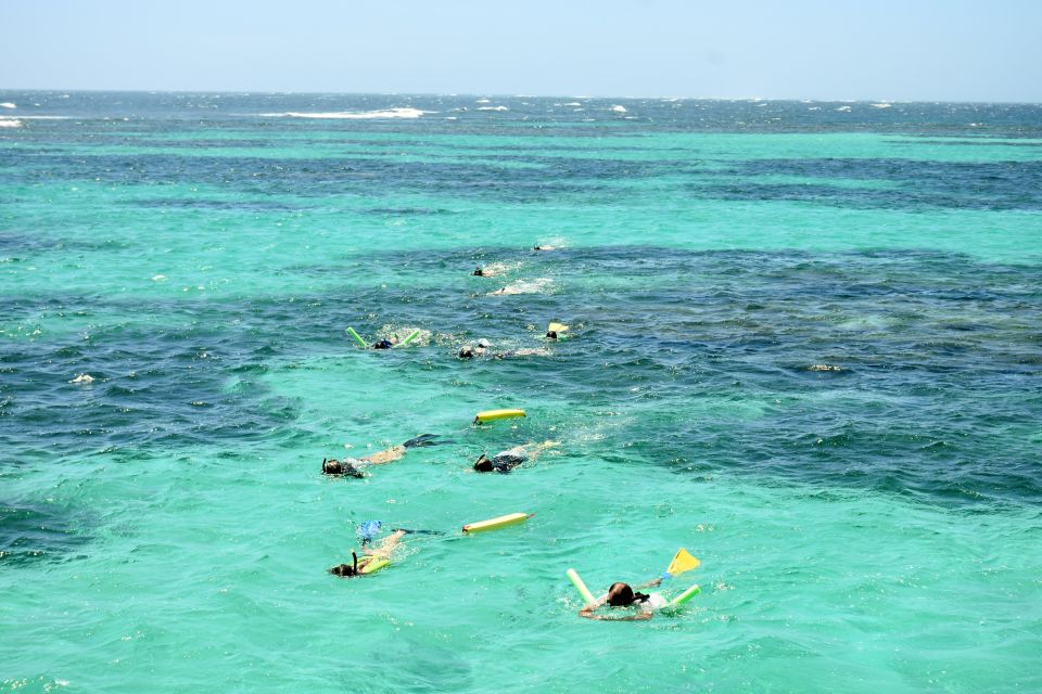 Coral Bay: Ningaloo Reef 3-Hour Turtle Ecotour - Tour Experience