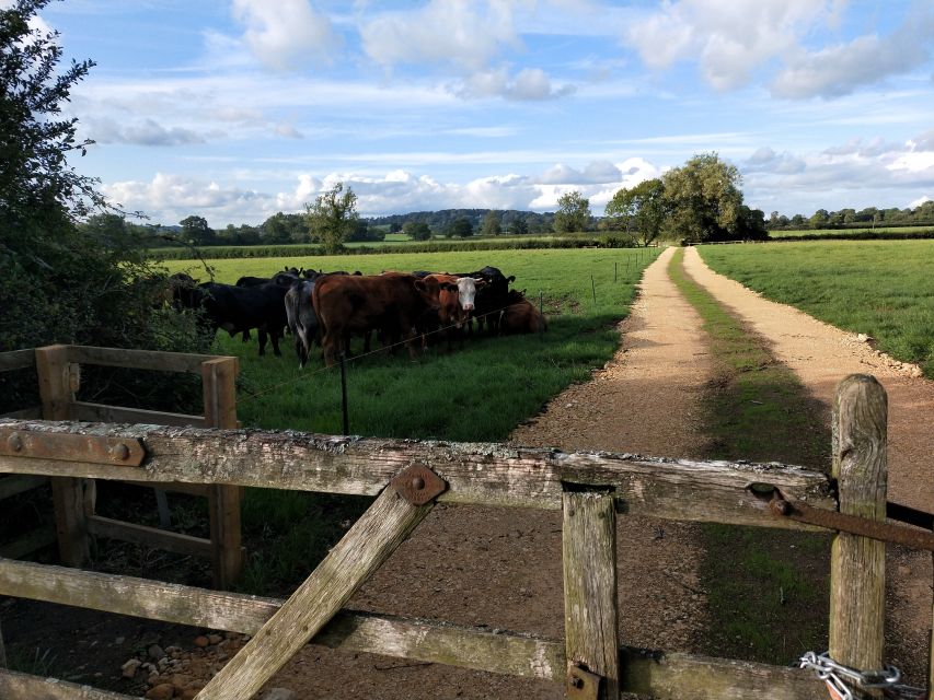 Cotswolds: Full-Day Private Walking Tour With Local Guide - Tour Description