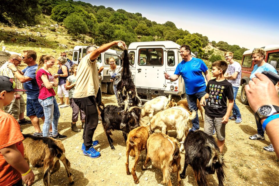 Crete: Land Rover Safari on Minoan Route - Highlights of the Safari