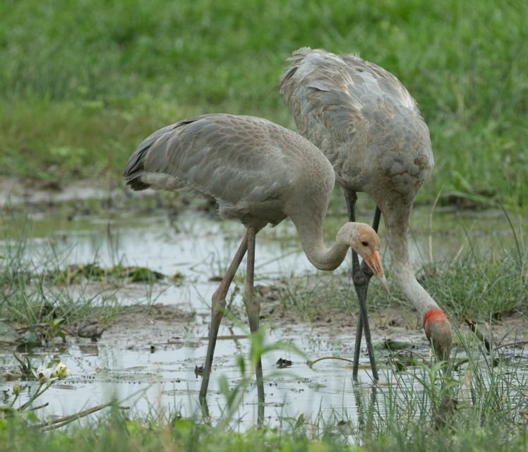 Darwin: Mary River Wetlands Wildlife Cruise With Lunch - Customer Reviews