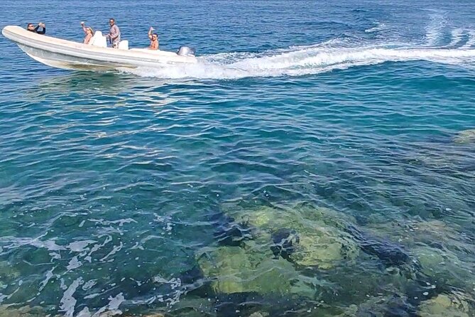 Day Tour to the Red Sea From Cairo Included Snorkeling and Lunch - Delicious Lunch Options Available