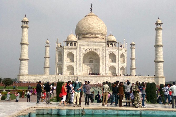 Day Trip From Delhi to Taj Mahal and Agra With Guide and Lunch - Company Information and Policies