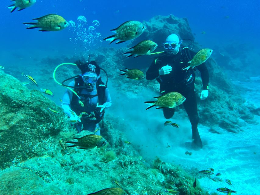 Diving Course for Beginners in Turtle Area Tenerife - Participant Experience
