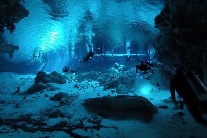 Dos Ojos Cenote Cavern Dive- The Barbie Line and The Bat Cave - Visitor Considerations