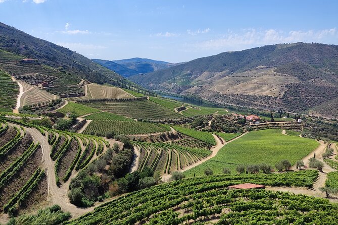 Douro Classic Sightseeing Full-Day Private Tour - Inclusions and Exclusions