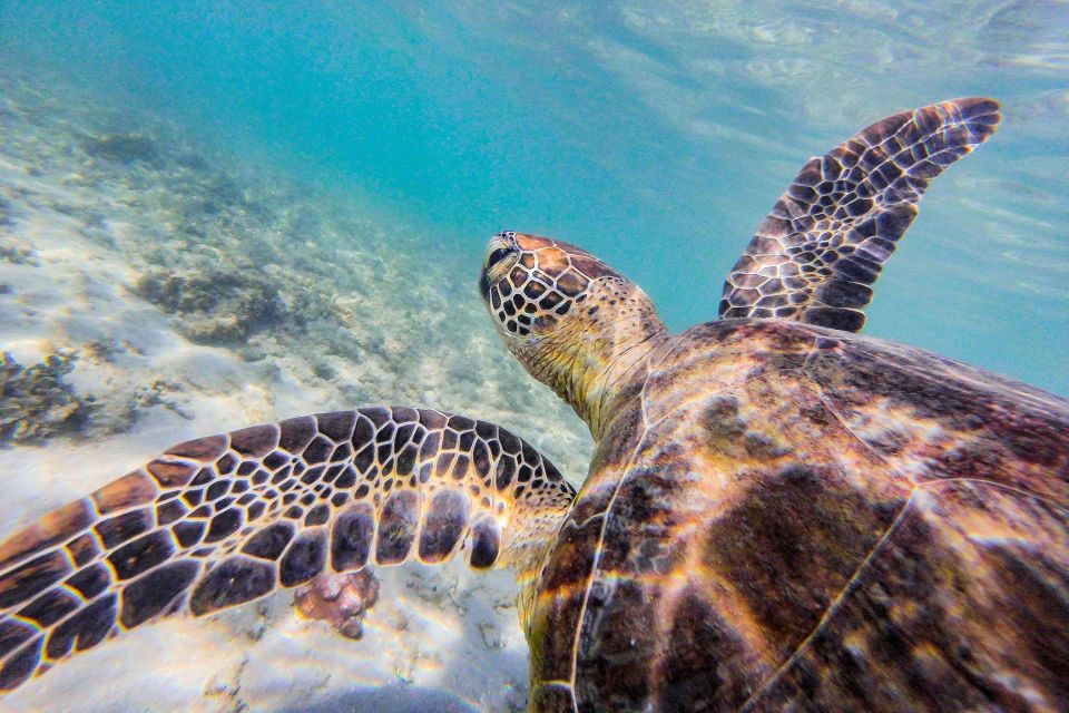 Dunk Island Day Tour | Cairns Day Return - Important Information