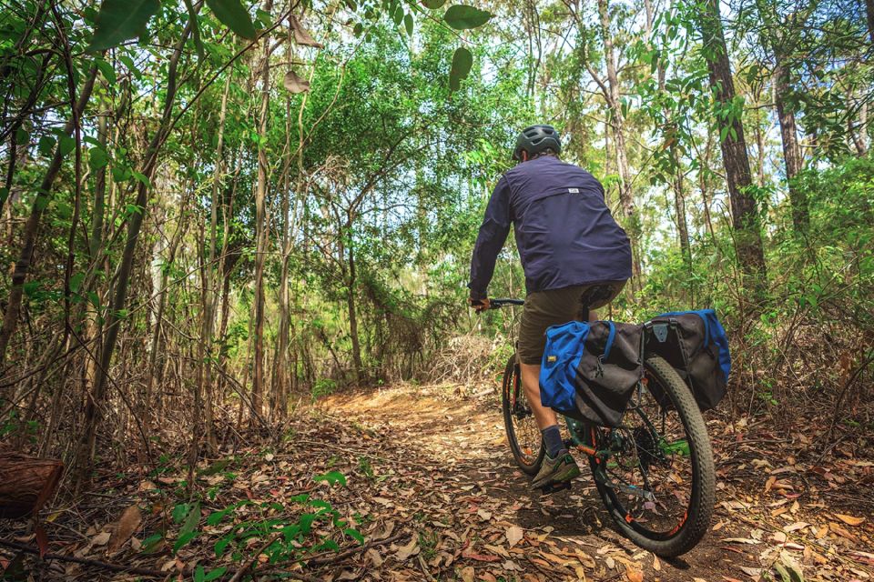 Dwellingup: Munda Biddi Explorer - Ride Amongst Towering Eucalypts