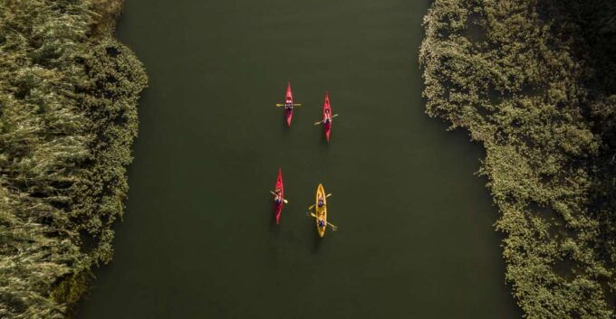 Ebro Delta: Guided Kayak Tour to Gracia Island - Activity Description and Highlights