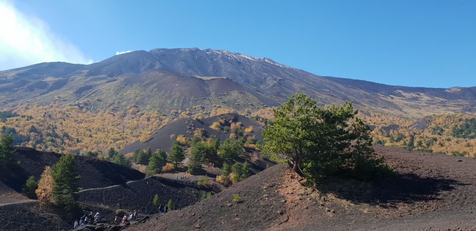 Etna Private Tour - Experience