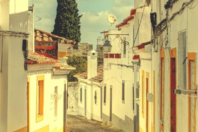 Évora - Full Day Private Guided Tour From Lisbon by Minivan - Safety and Health Guidelines