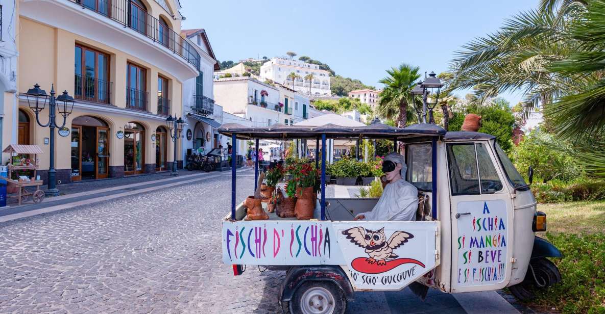 Exclusive Ischia Tour From Sorrento With Local Guide - Group Type and Experience Highlights
