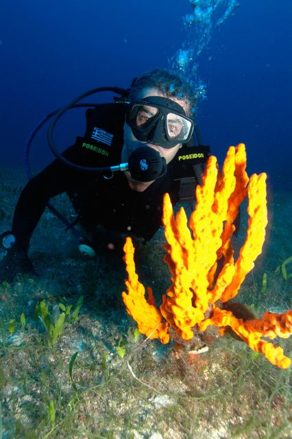 Experience 2 Tank Scuba Diving on Paros - Safety Measures and Gear