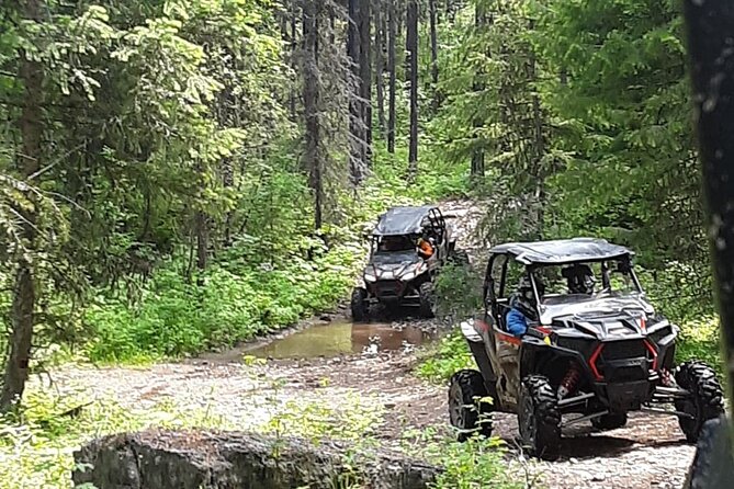 Falling for Montana Tour 4-seat RZR Full Day at Action Rentals MT - Gear and Fees Included