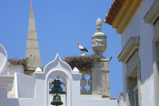 Faro Private Walking Tour With a Professional Guide - Customer Experience