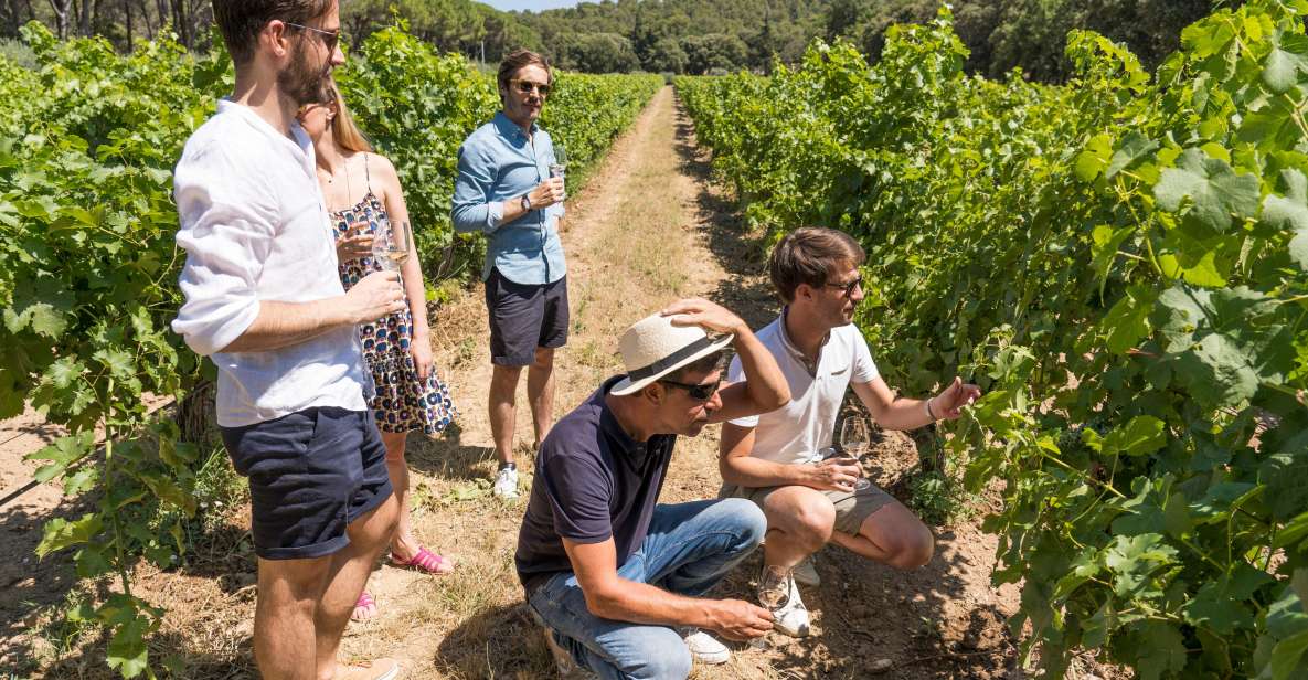 From Aix-en-Provence: Wine Tour in Cezanne Countryside - Booking Information and Policies