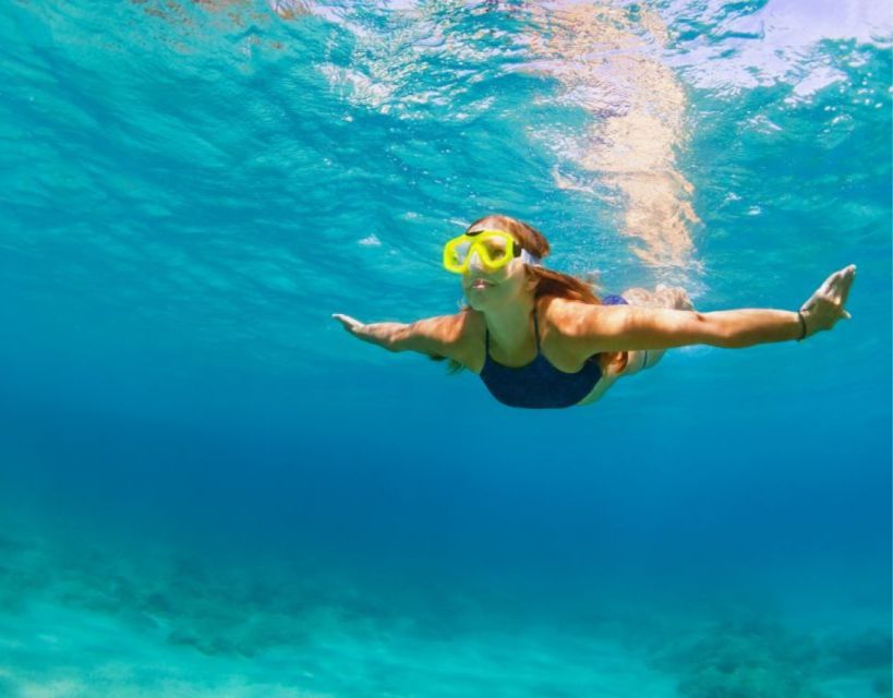 From Athens :Swimming Cruise Agkistri Metopi Perdika - Restrictions and Highlights