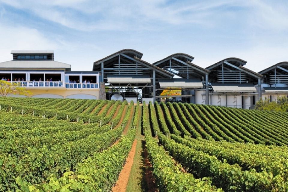 From Brisbane or Gold Coast: Sirromet Winery Half-Day Out - Inclusions and Highlights