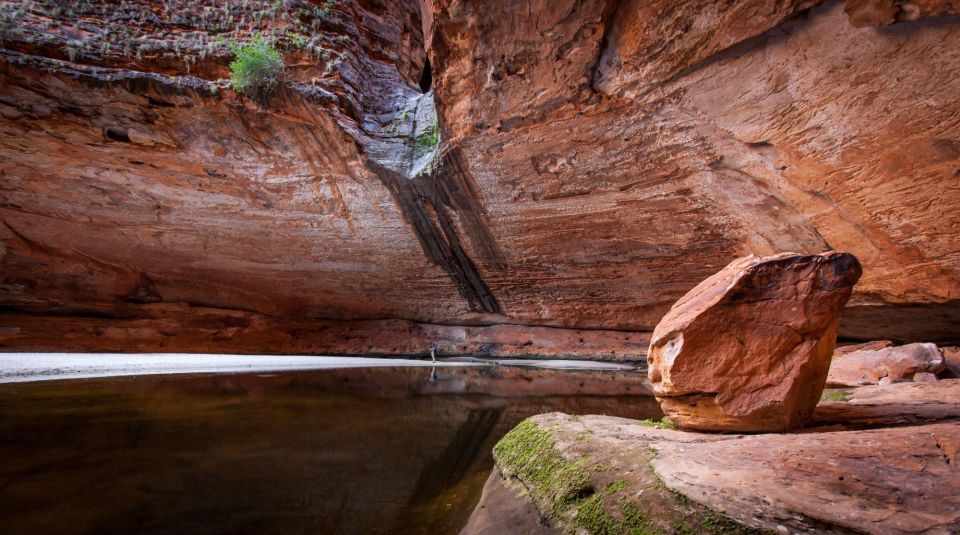 From Broome: Bungle Bungle Explorer Scenic Flight - Full Description