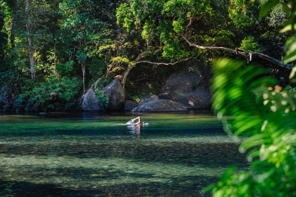 From Cairns: Atherton Tableland Wilderness Tour With Lunch - Tour Description