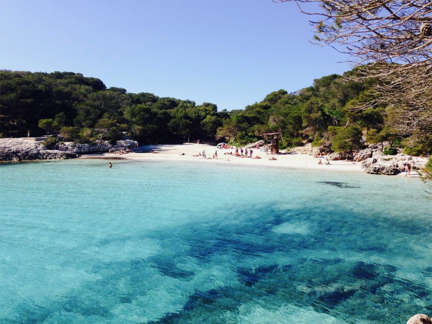 From Cala Galdana: 2-Hour Glass-Bottom Boat Trip - Inclusions and Exclusions