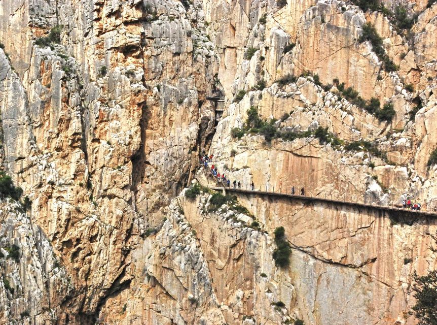 From Costa Del Sol: Caminito Del Rey Day Trip - Review Summary