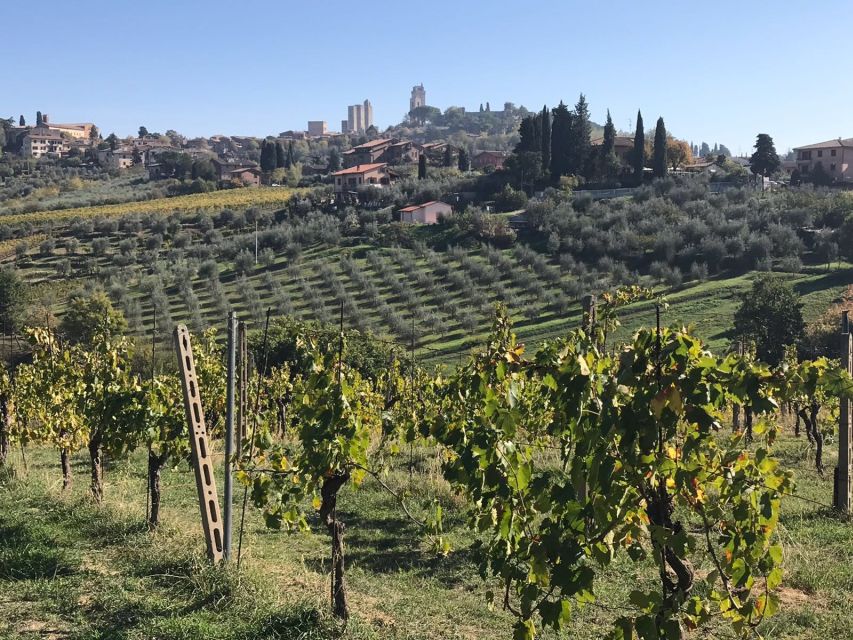 From Livorno: Shore Excursion to Chianti and San Gimignano - Highlights