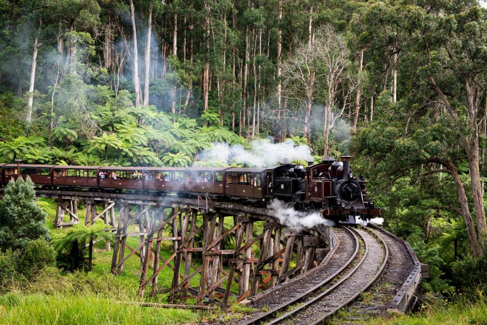 From Melbourne: Puffing Billy Train & Penguins Wildlife Tour - Inclusions