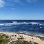 3 from perth margaret river busselton day tour From Perth: Margaret River & Busselton Day Tour