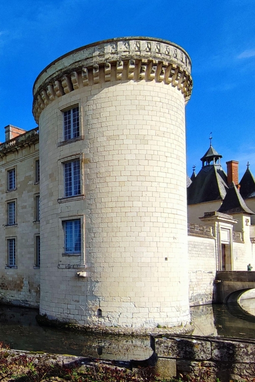 From Poitiers: Private Visit to the Castle of Dissay - Itinerary Highlights