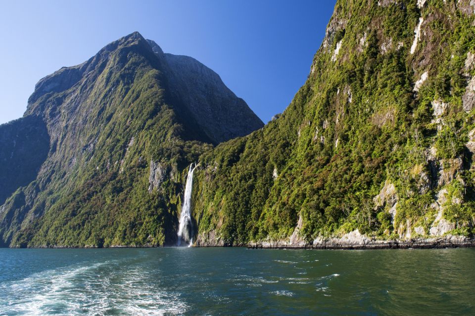 From Queenstown: Milford Sound Full-Day Tour With Lunch - Tour Highlights