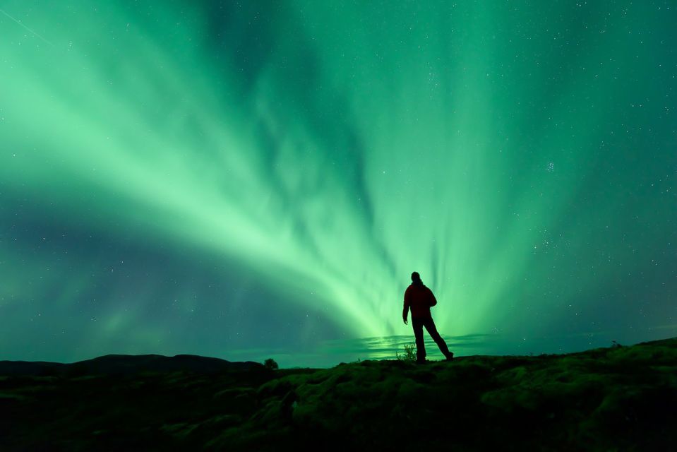 From Reykjavik: Northern Lights Tour - Search for the Northern Lights