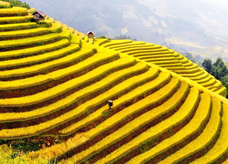 From Sapa : 1 Day Amazing Sapa Trek to Terrace Rice Field - Local Food Experience