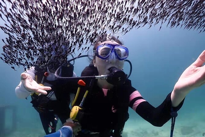 Full-Day Diving Adventures for Non Certified Divers From Phuket - Cancellation Policy