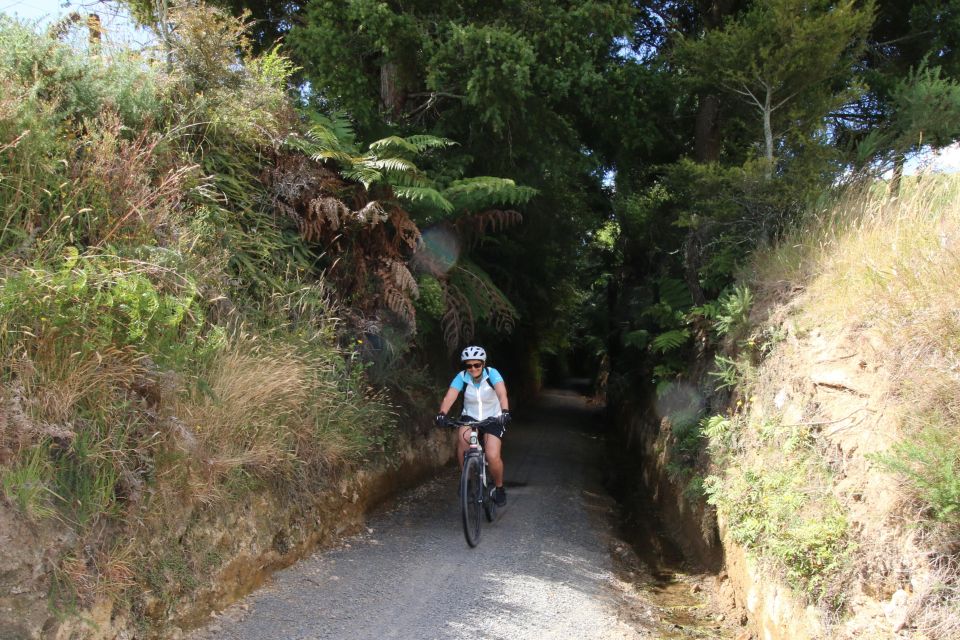 Full Day Ebike Tour - Karangahake Gorge NZ - Tour Description