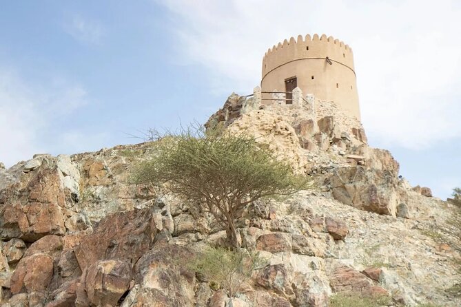 Full Day Hatta Wadi Hub Private Guided Tour - Weather Considerations and Rescheduling