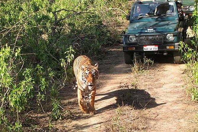 Full Day Private Tour to Sariska Tiger National Park by Car From Jaipur - Inclusions and Exclusions