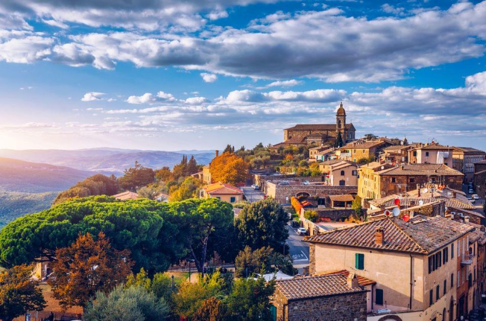 Full-Day Private Wine Tour in Montalcino - Activity Description