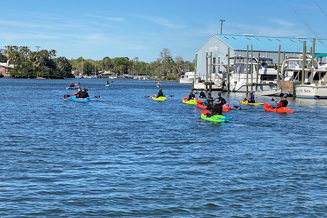 Full Day Single Kayak Rental In Crystal River - Expectations and Restrictions