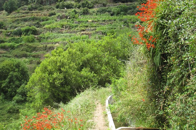 Funchal Small-Group Serra D'Agua Valley Walk - Pickup and Logistics Details