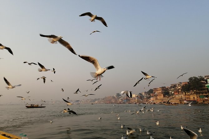 Ganga Sunrise Boat Tour - Additional Info