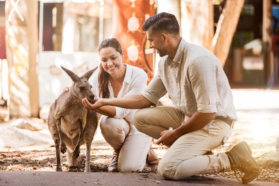 Gold Coast: 2-Day Dreamworld and SkyPoint Entry Ticket - Cancellation Policy