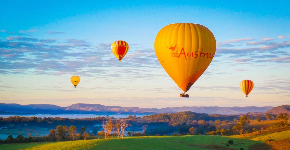Gold Coast: Hot Air Balloon Flight and Vineyard Breakfast - Customer Reviews and Testimonials
