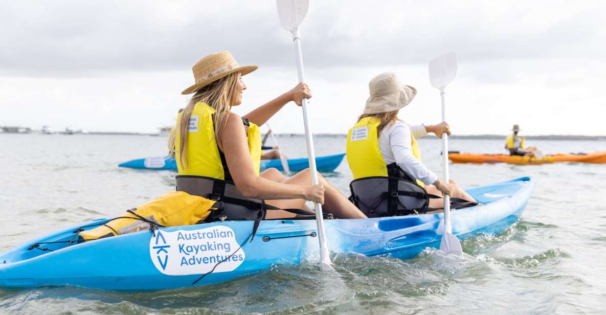 Gold Coast: Kayaking and Snorkeling Guided Tour - Common questions
