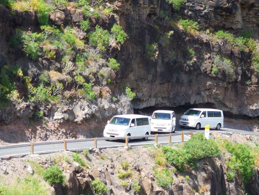 Gran Canaria: Island Highlights Tour With Optional Lunch - Customer Reviews