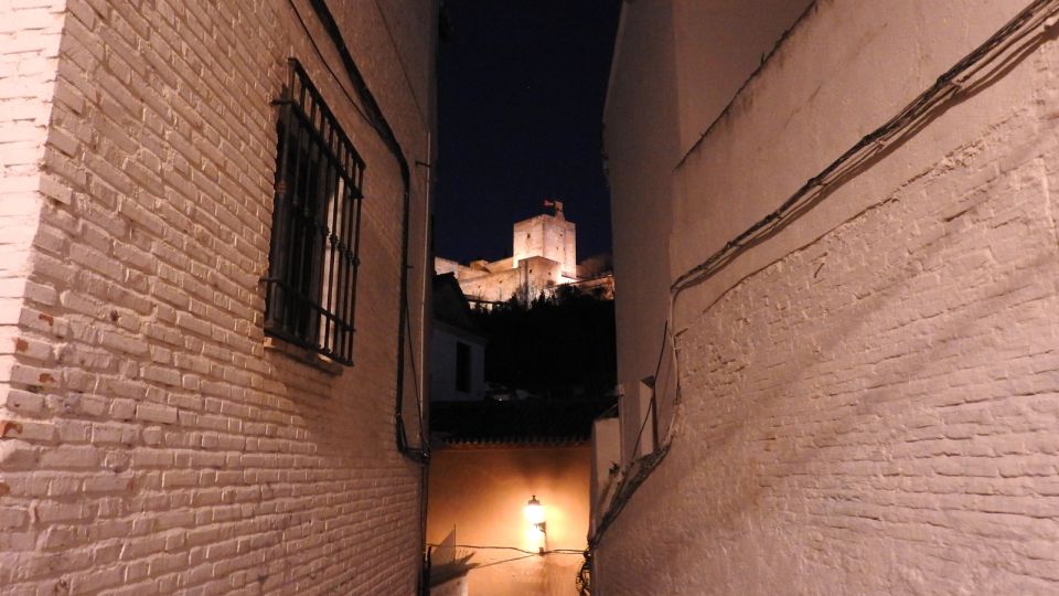 Granada: Albaicín in the Dark Walking Tour - Provider and Rating